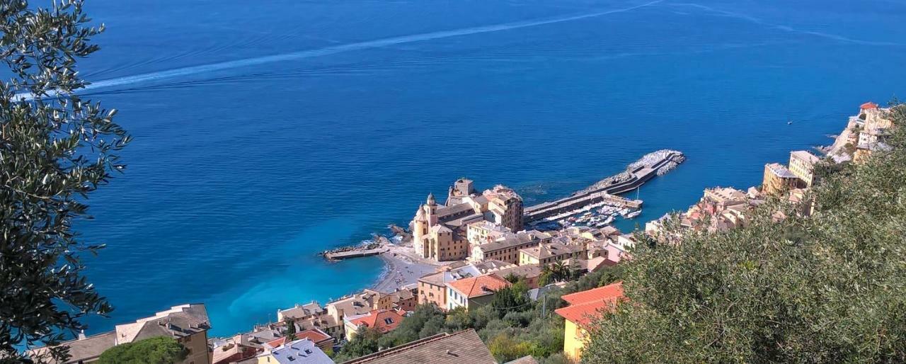 Camogli Golfo Paradiso La Casa Del Comandante 外观 照片